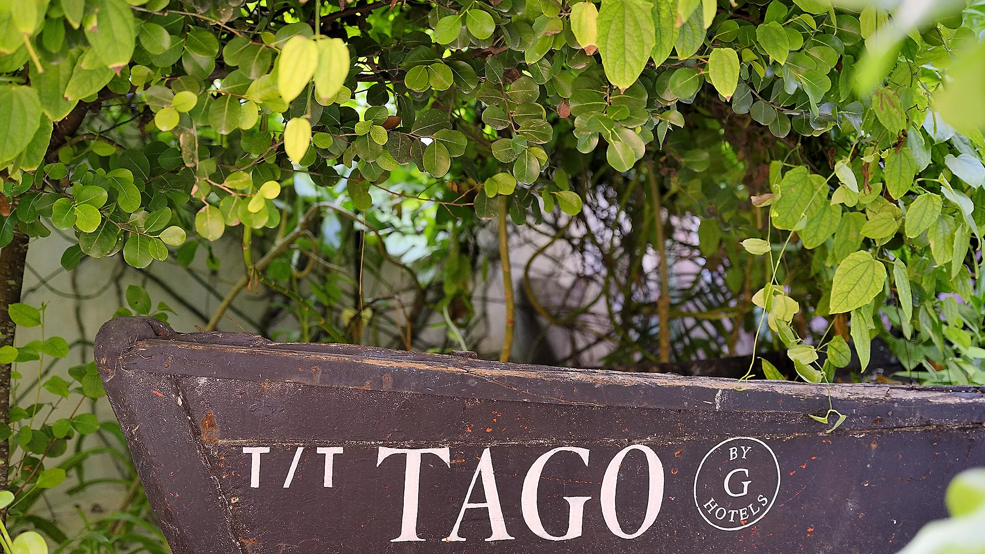 Tago Tulum By G Hotels